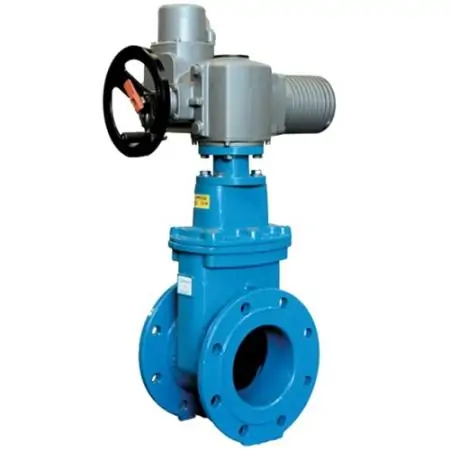 zadvizhka-s-elektroprivodom-200x100-mm-31s916nzh_foto_largest