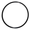 ring_geizer_taifun_10SL1