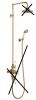 AF3S GOLD1