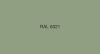 ral-6021