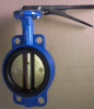 ZPD-Dy125